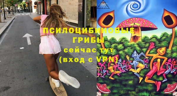 ПСИЛОЦИБИНОВЫЕ ГРИБЫ Волосово
