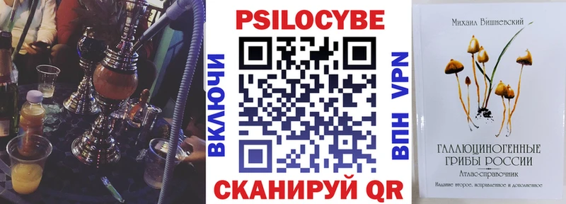 Псилоцибиновые грибы Cubensis Нижнекамск